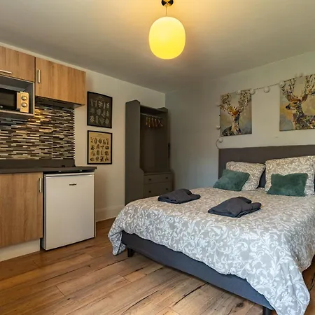 Le Cosy * Charmant * Studio Dijon Room photo